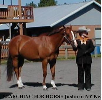 SEARCHING FOR HORSE Justin in NY Near Niagara Falls, NY, 14301